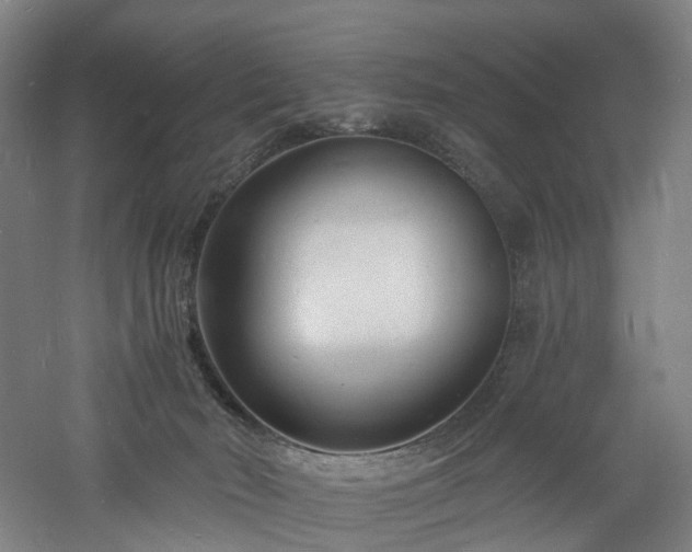 X0000060740030200511101120