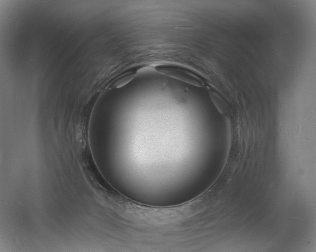 X0000060740031200511101120