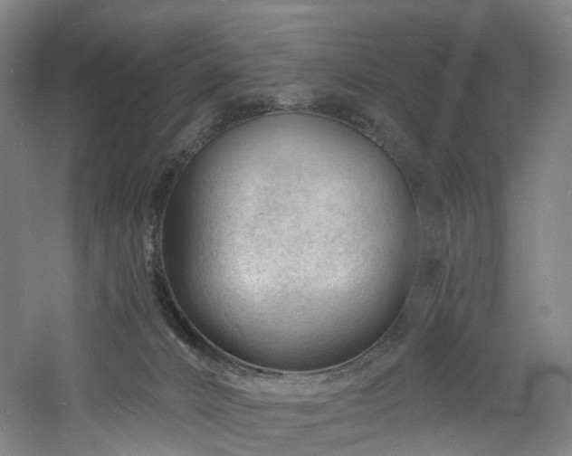 X0000060740032200511101120