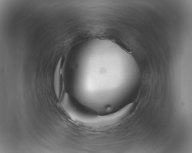 X0000060740033200511101119