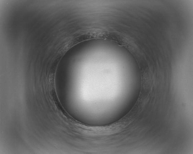 X0000060740034200511101119