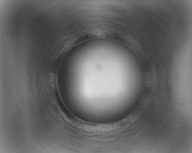 X0000060740036200511101119