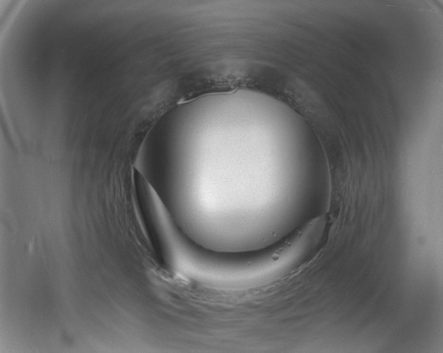 X0000060740037200511101119