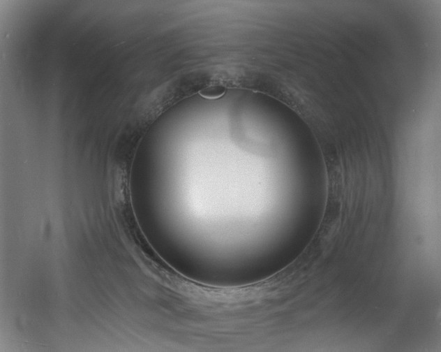 X0000060740038200511101119