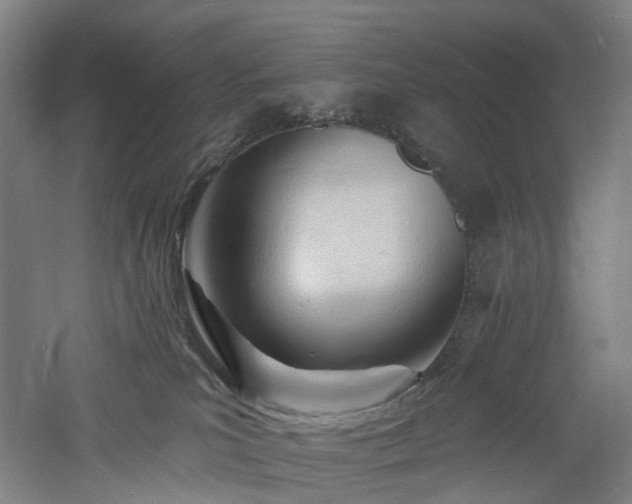 X0000060740039200511101119