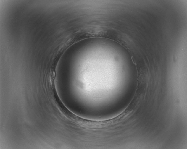 X0000060740040200511101119