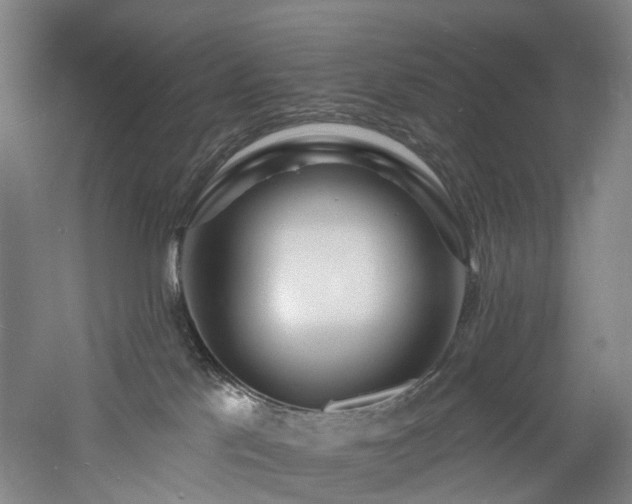 X0000060740041200511101119