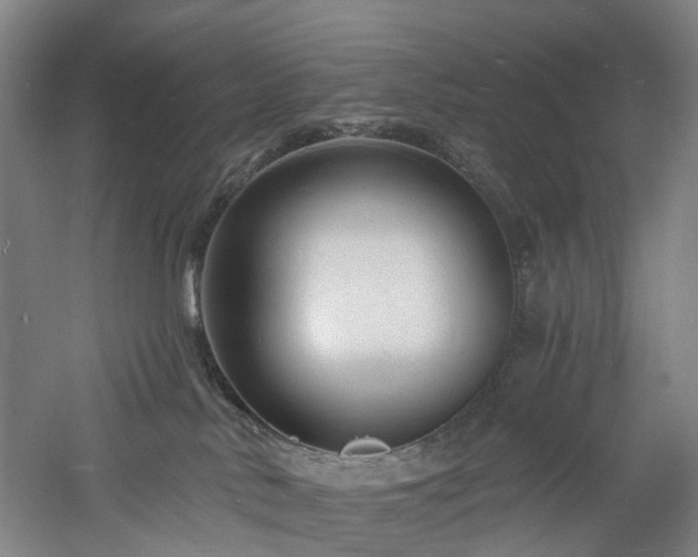 X0000060740042200511101119