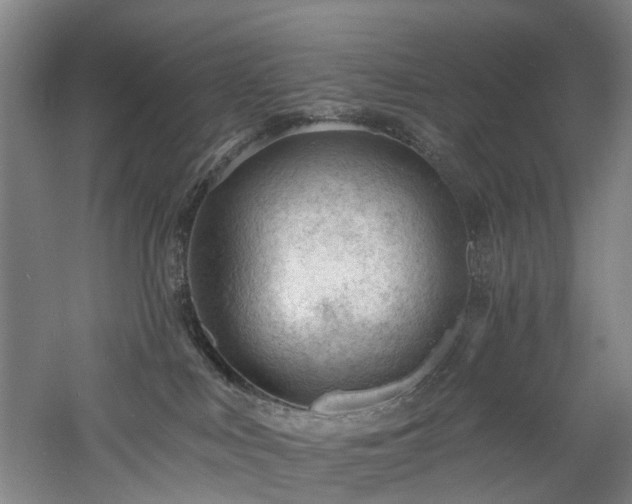 X0000060740043200511101119