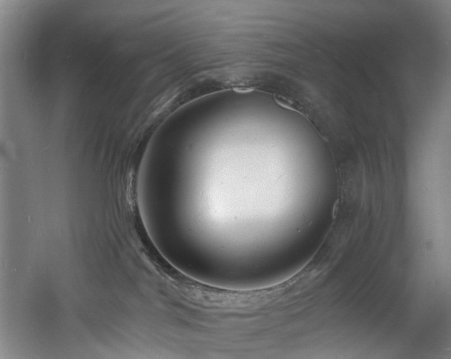 X0000060740044200511101119