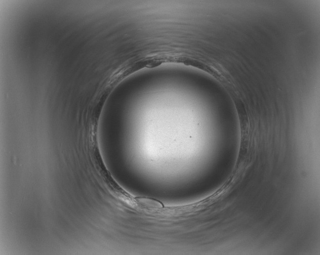 X0000060740045200511101119