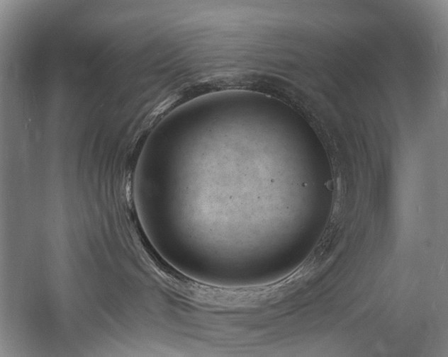 X0000060740048200511101119