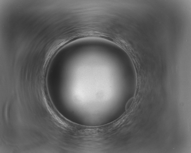 X0000060740049200511101118