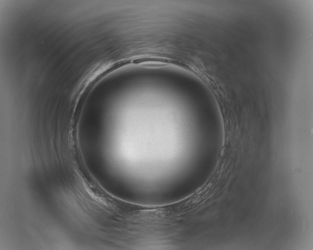 X0000060740050200511101118