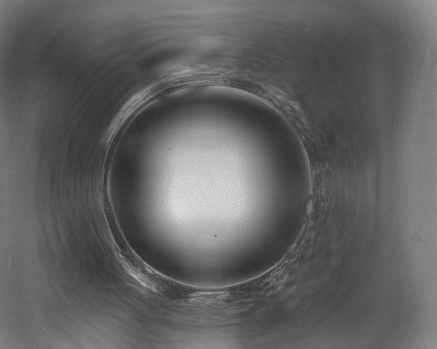 X0000060740051200511101118