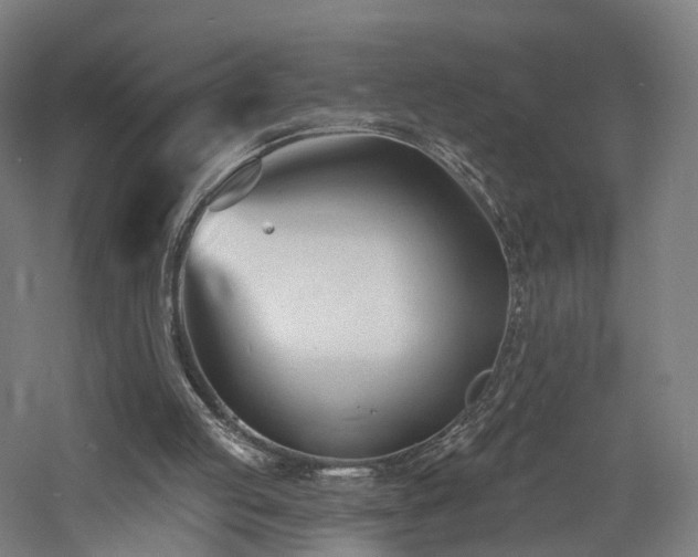 X0000060740053200511101118