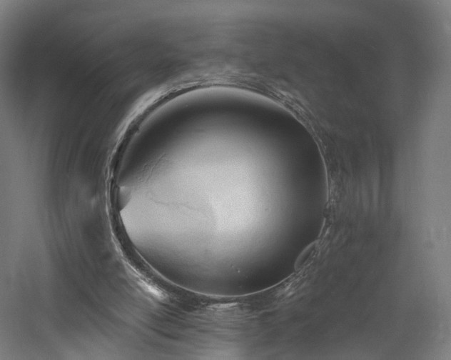 X0000060740054200511101119