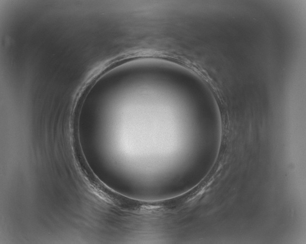 X0000060740055200511101119