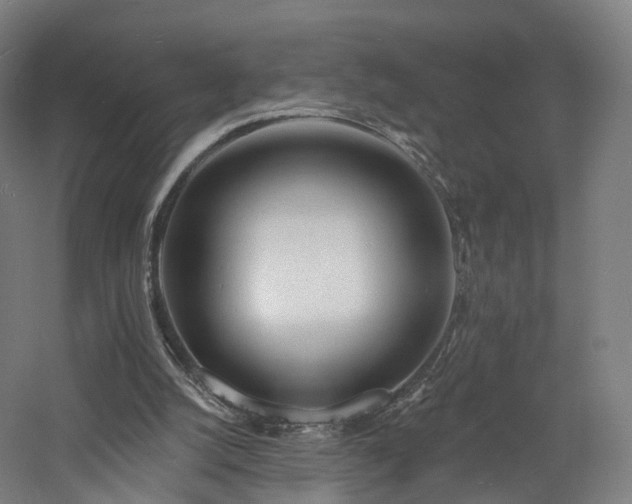 X0000060740056200511101119