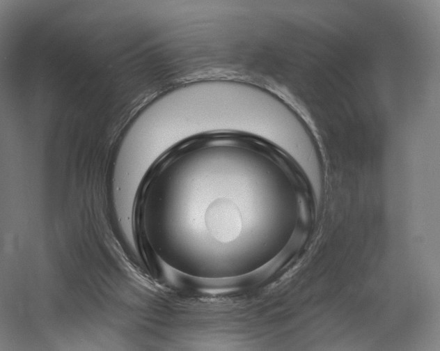 X0000060740057200511101119