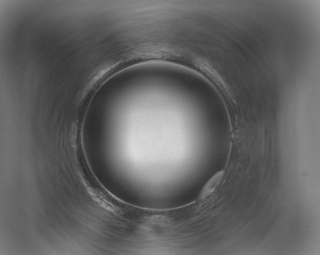 X0000060740058200511101119