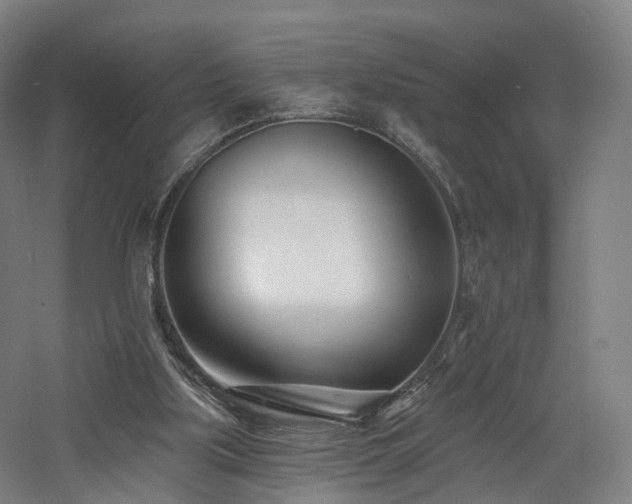 X0000060740059200511101119