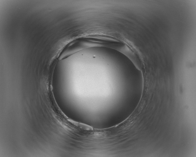 X0000060740060200511101119