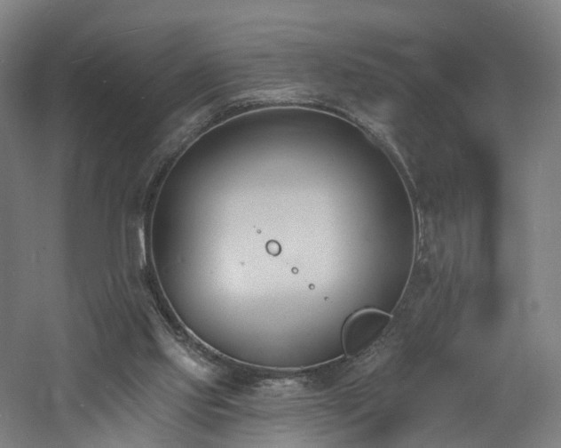 X0000060740061200511101119