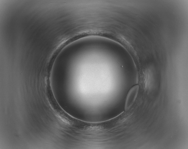 X0000060740063200511101119