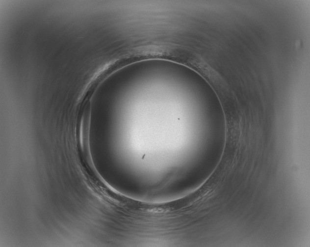 X0000060740064200511101119