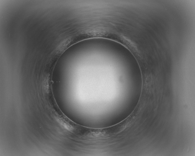 X0000060740065200511101119