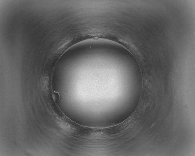 X0000060740066200511101119