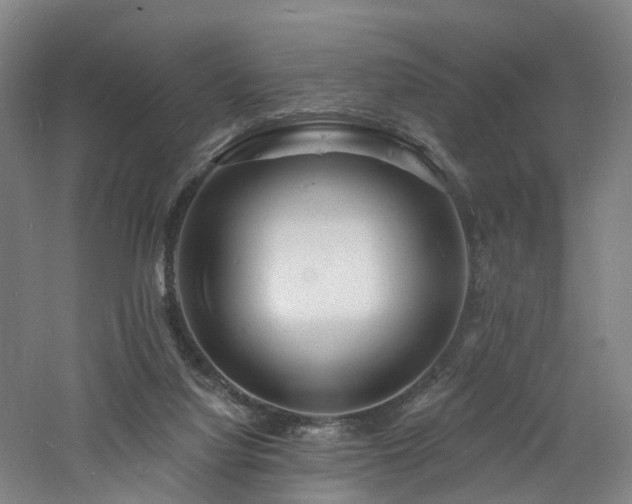 X0000060740068200511101119