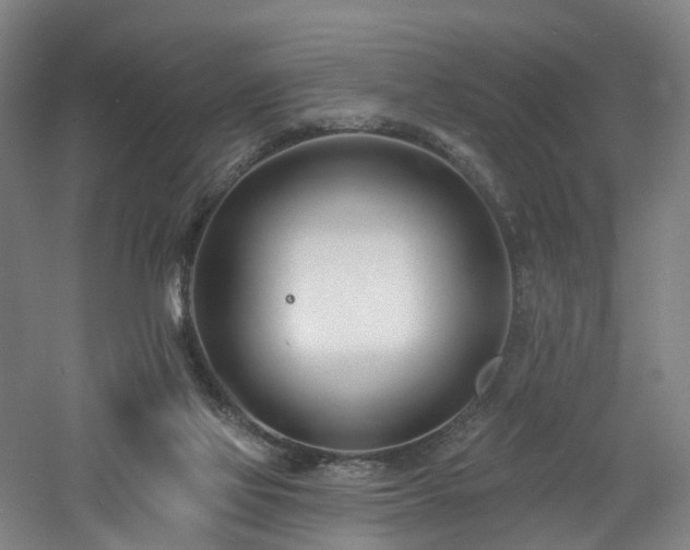 X0000060740069200511101119