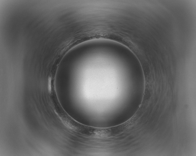 X0000060740070200511101119