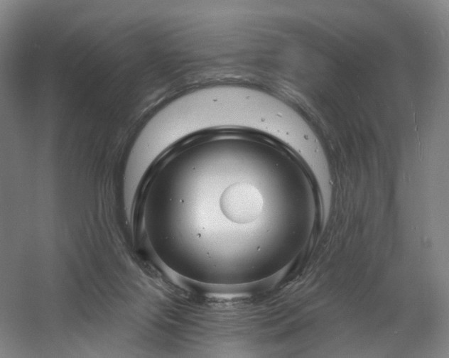 X0000060740071200511101119