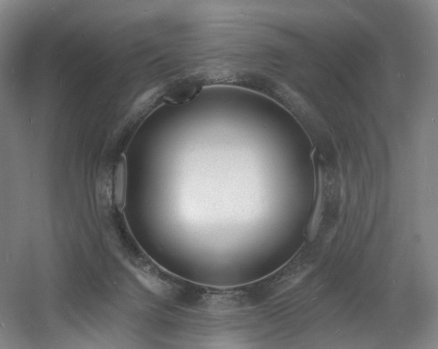 X0000060740072200511101119