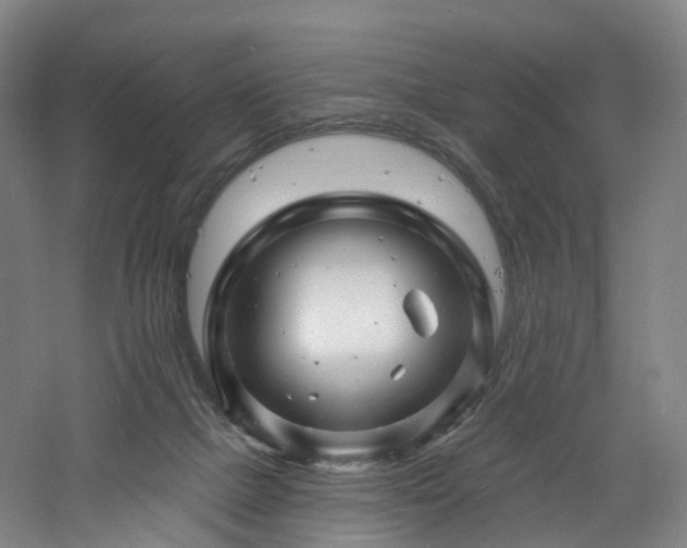 X0000060740073200511101119