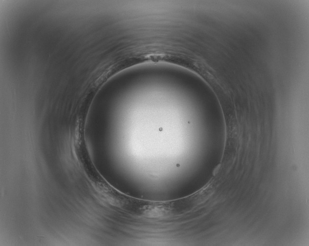 X0000060740074200511101119