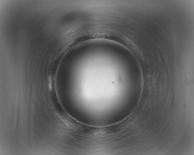 X0000060740075200511101119