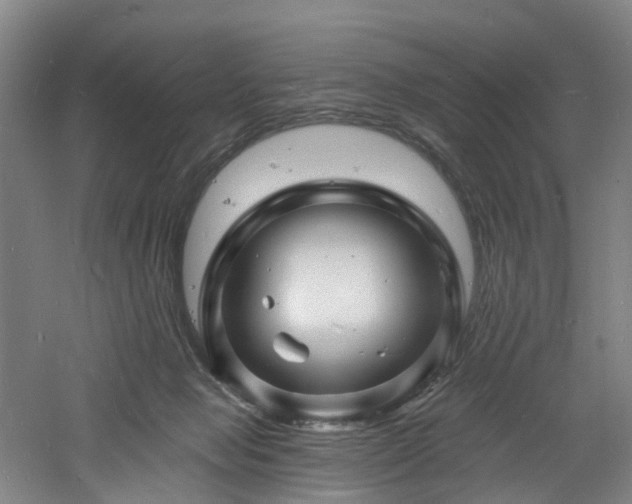 X0000060740077200511101119