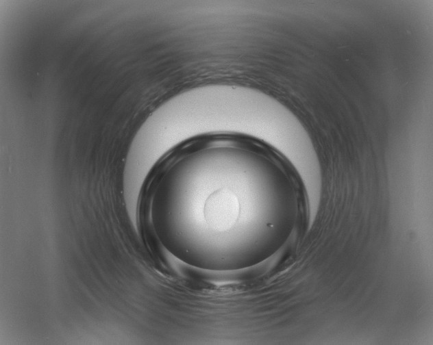 X0000060740079200511101119