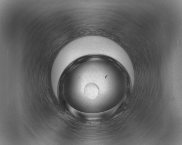 X0000060740080200511101119