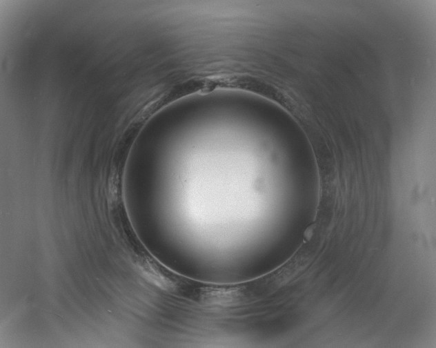 X0000060740081200511101119