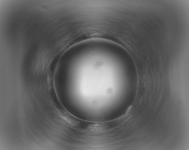 X0000060740082200511101119