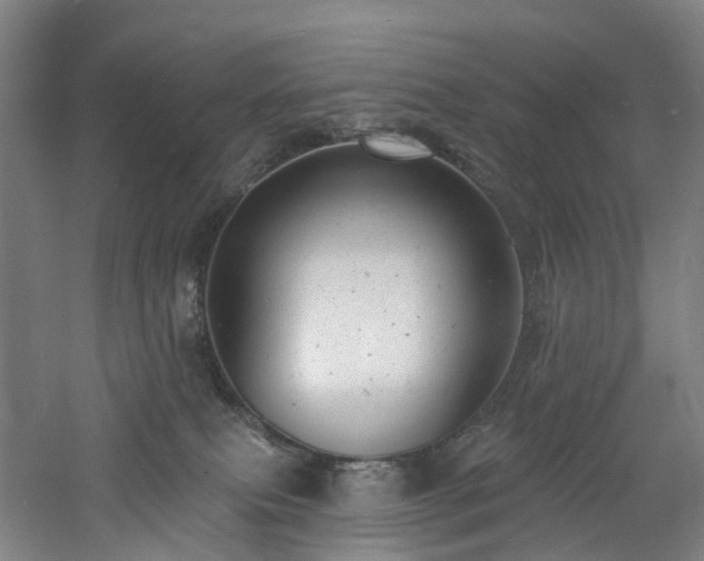 X0000060740087200511101119