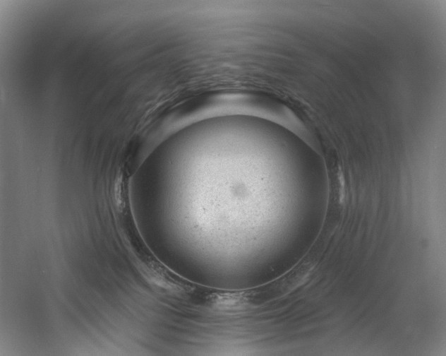 X0000060740088200511101119