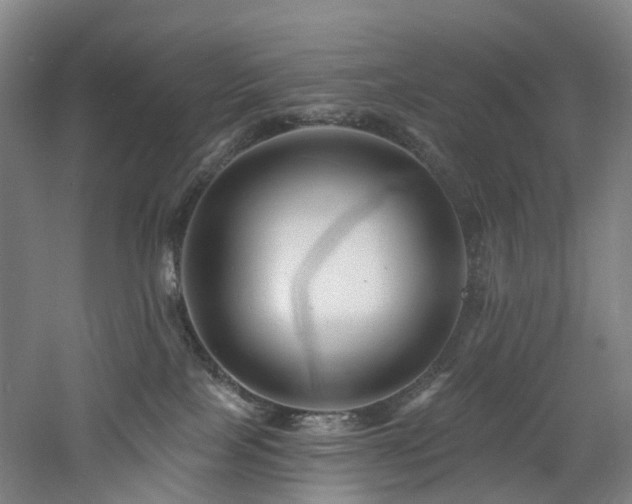 X0000060740089200511101119