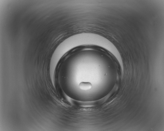 X0000060740092200511101119