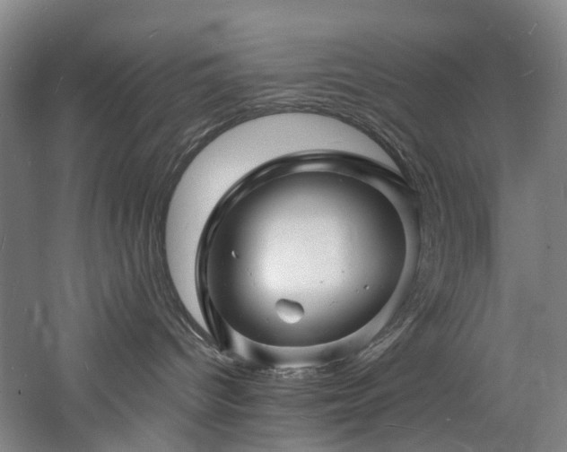 X0000060740096200511101119